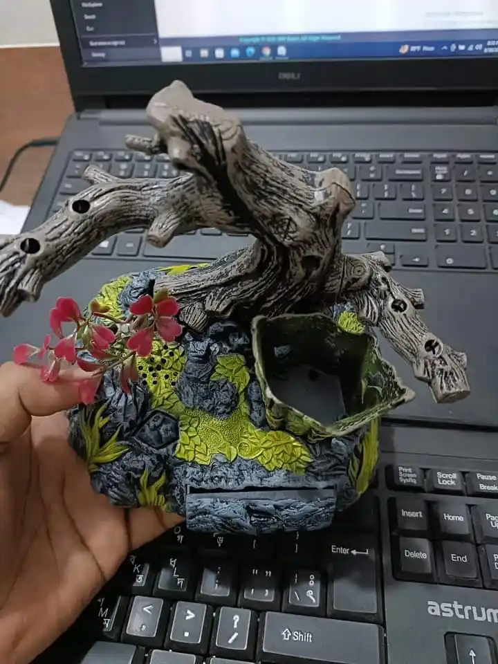 Ensemble Beautiful Birds