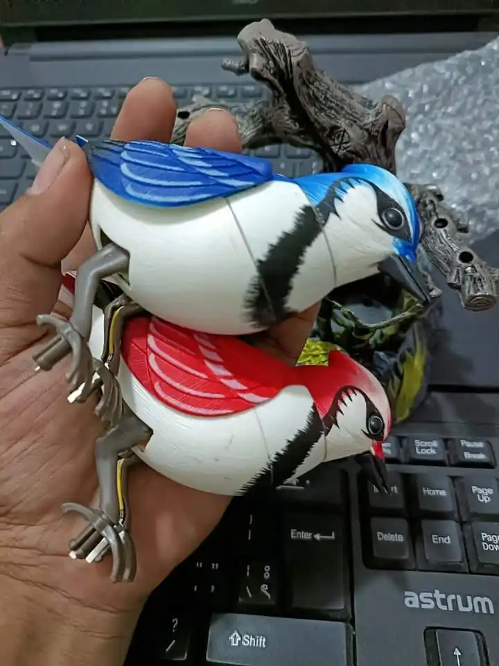 Ensemble Beautiful Birds