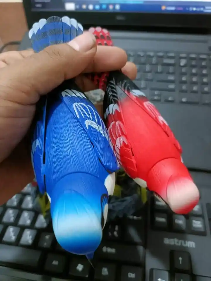 Ensemble Beautiful Birds